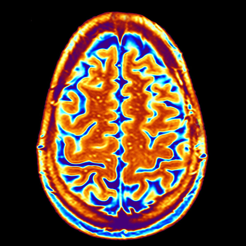 Growing your Brain with Lion's mane