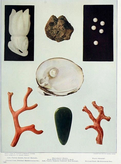 Specimens