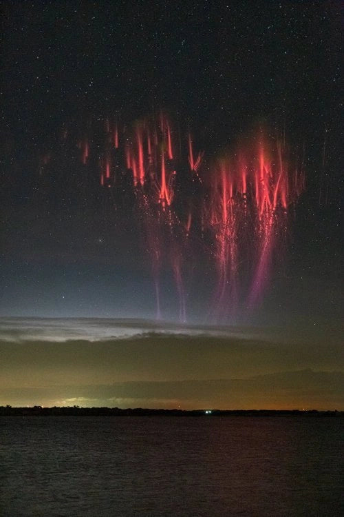 Red sprite